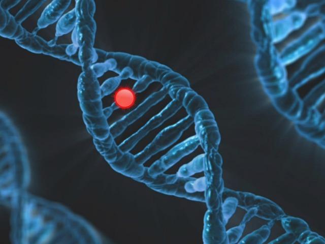 Genetische mutatie DNA