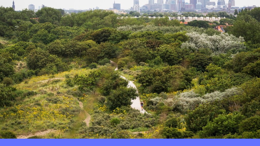 Natuur in Den Haag