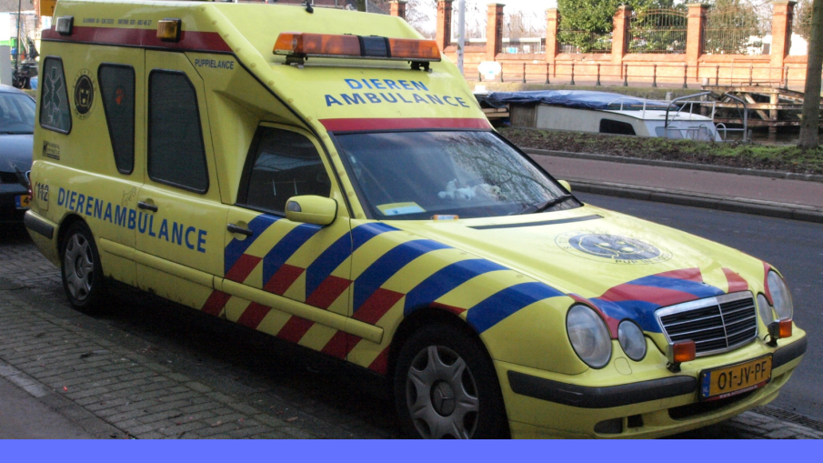 dierenambulance