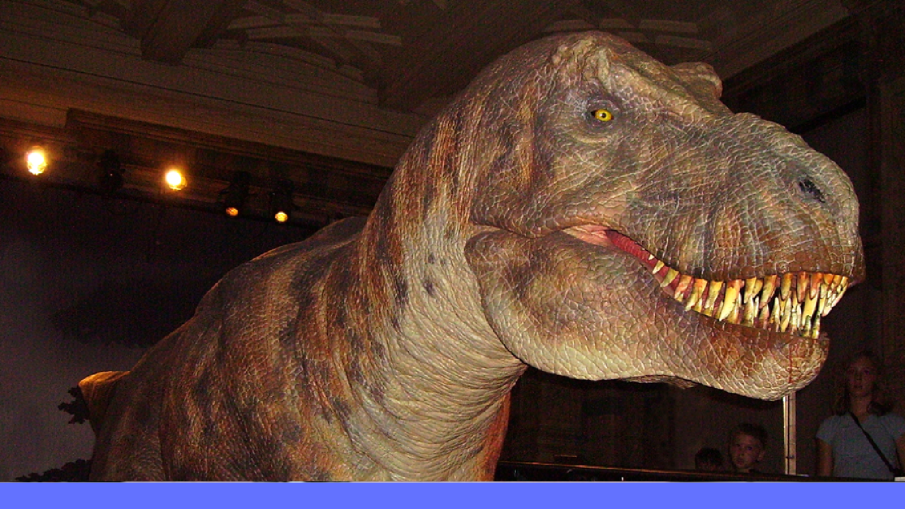 Trex