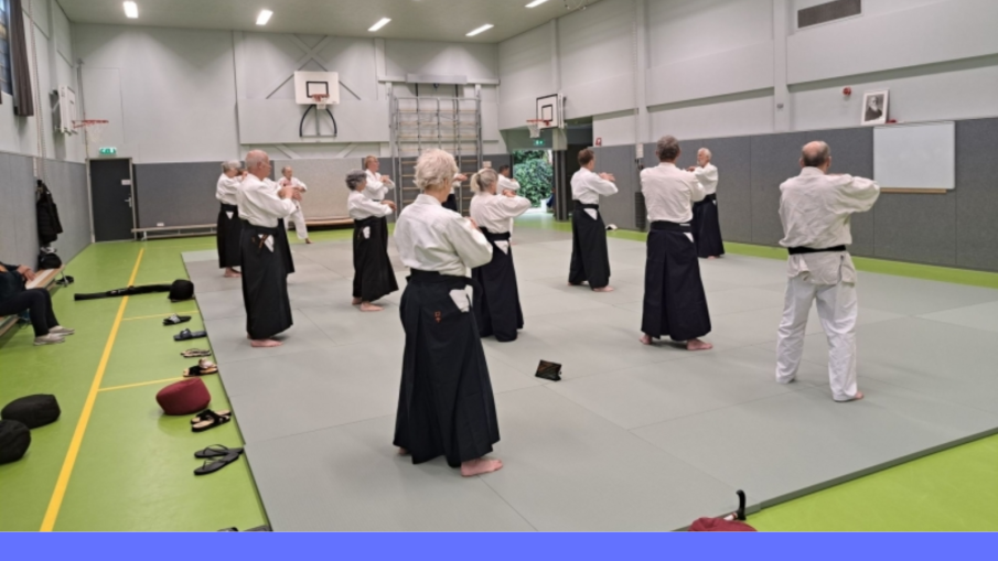 aikido voor ouderen