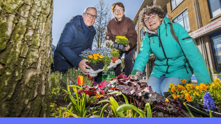 boomtuintje