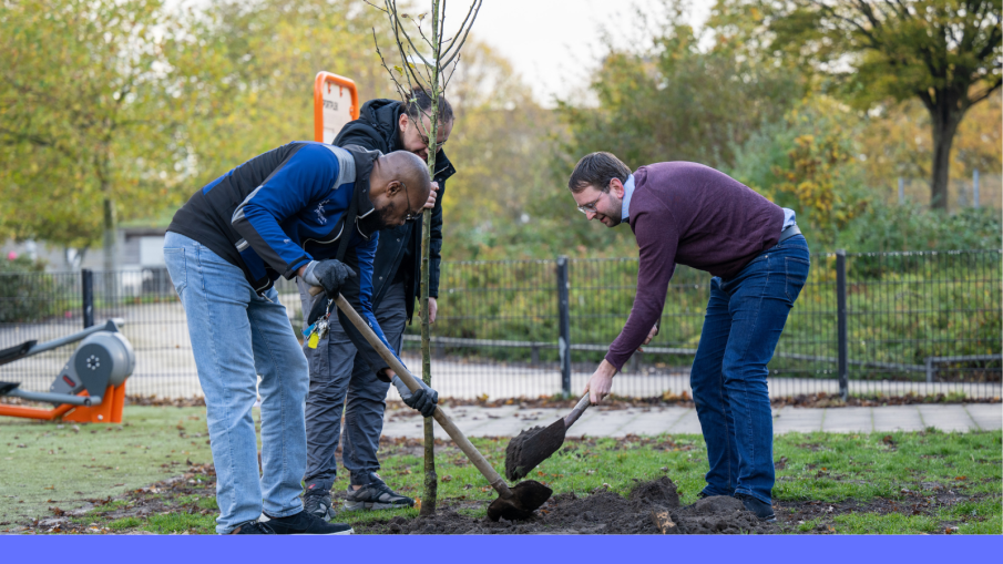 gratis bomen