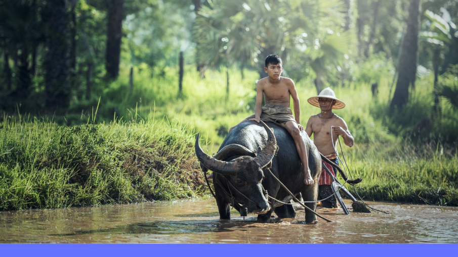 indonesië