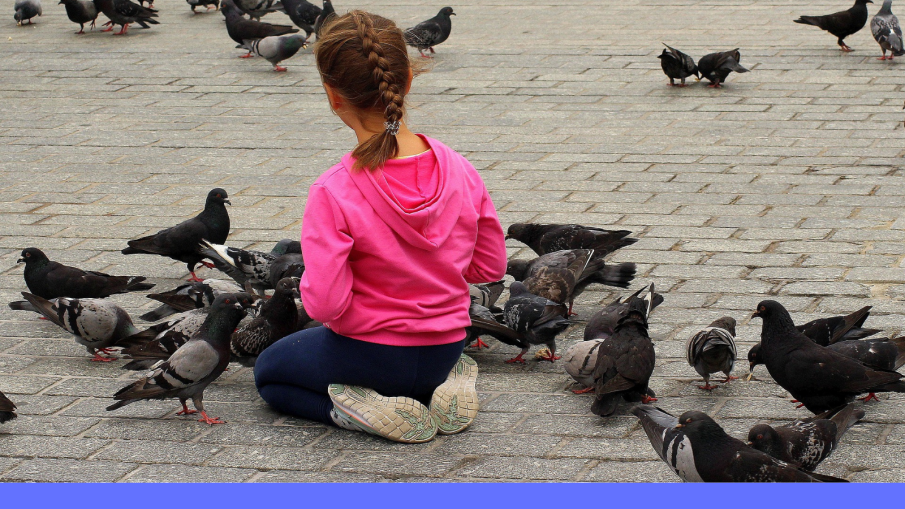 kind met duiven