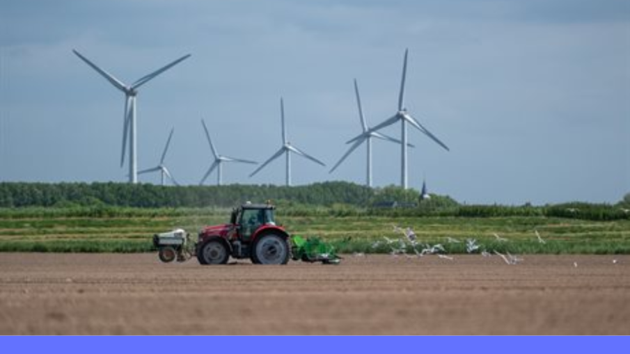 landbouw zuid-holland
