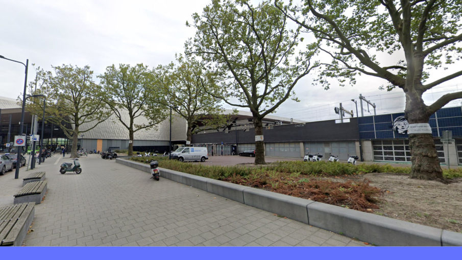 Platanen Delftseplein