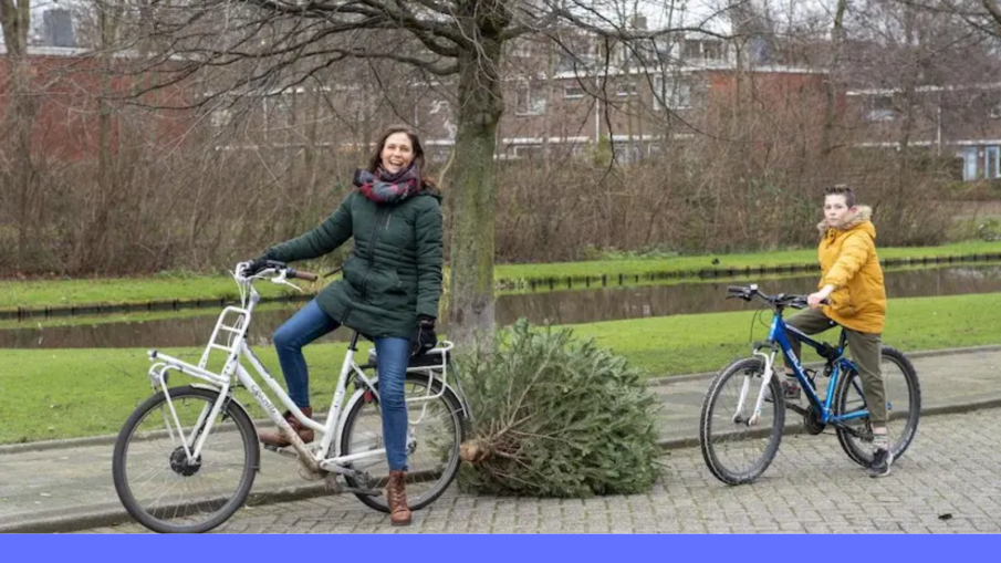 kerstboom achter fiets