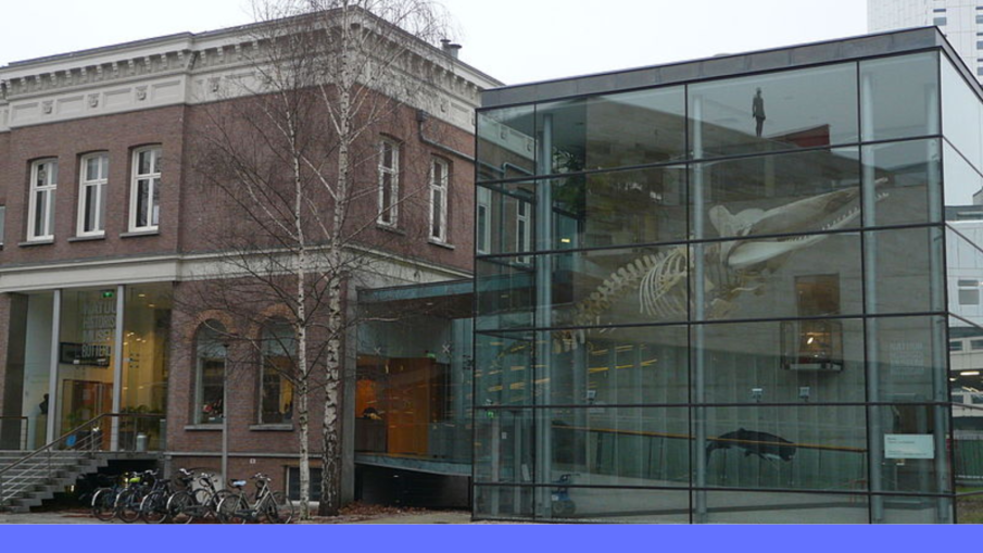 museum rotterdam