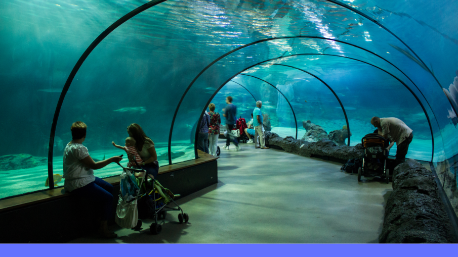 oceanum blijdorp