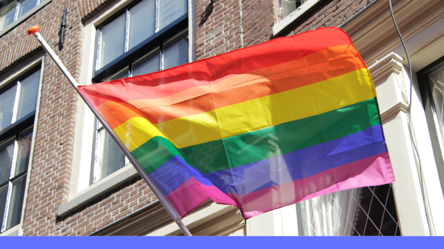 regenboogvlag half stok
