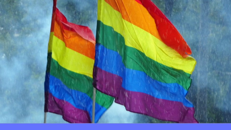 regenboogvlaggen