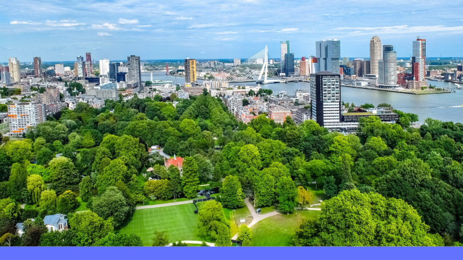 rotterdam skyline