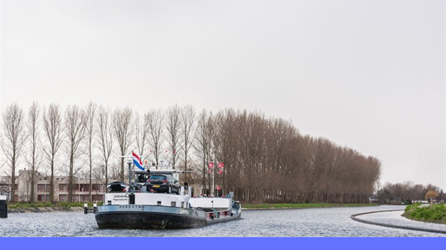 schie