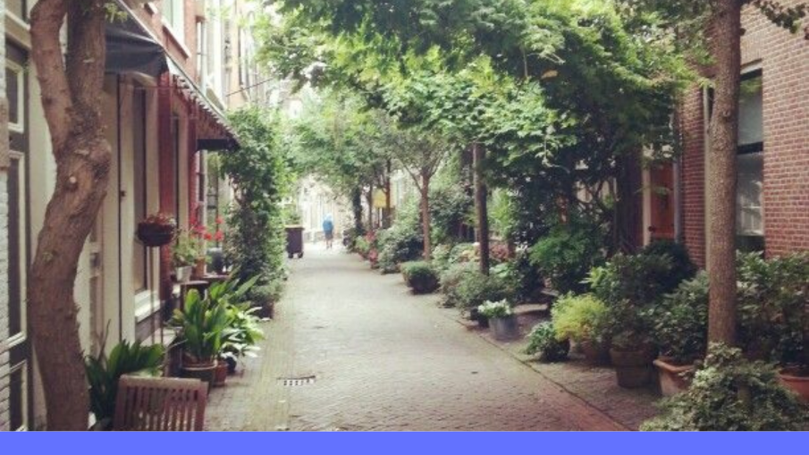 vergroende straat.