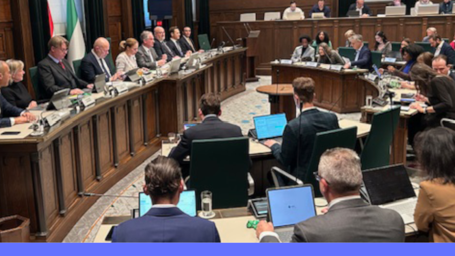 gemeenteraad januari 2025