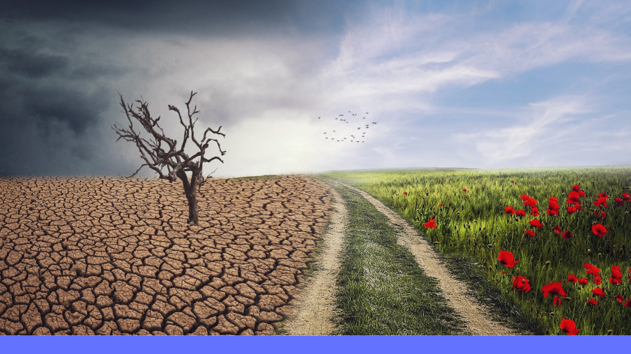 klimaat en groen