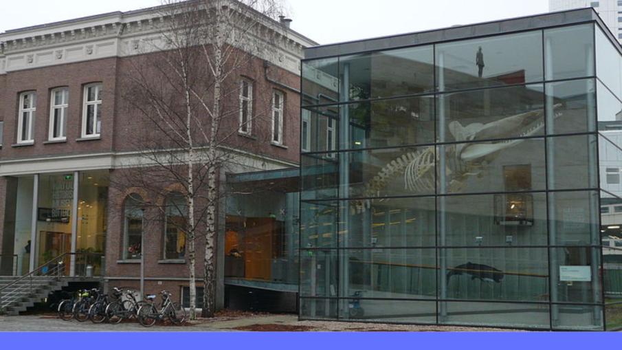 natuurhistorisch museum rotterdam
