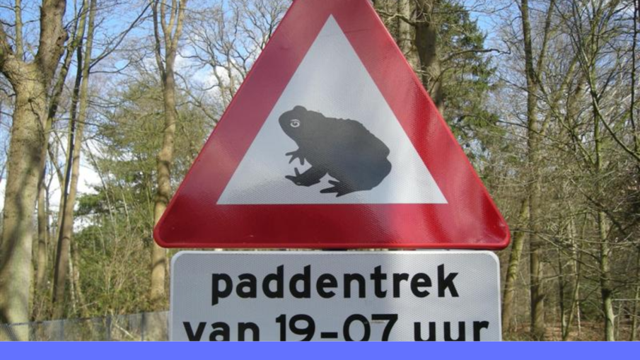 paddentrek