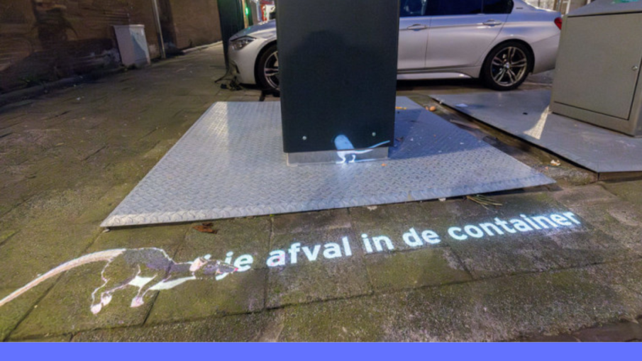 Videoprojectie ratten