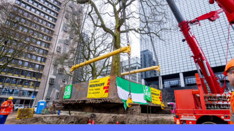 plantaan delftseplein