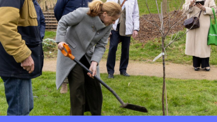 schouten aan het graven