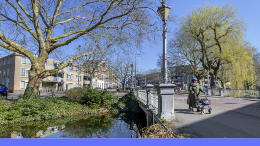 Spiegelnisserbrug
