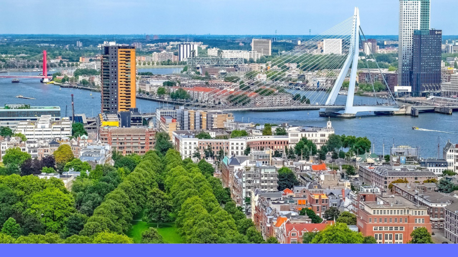 overzicht rotterdam