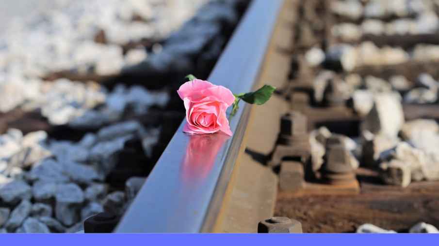 roos op treinrails