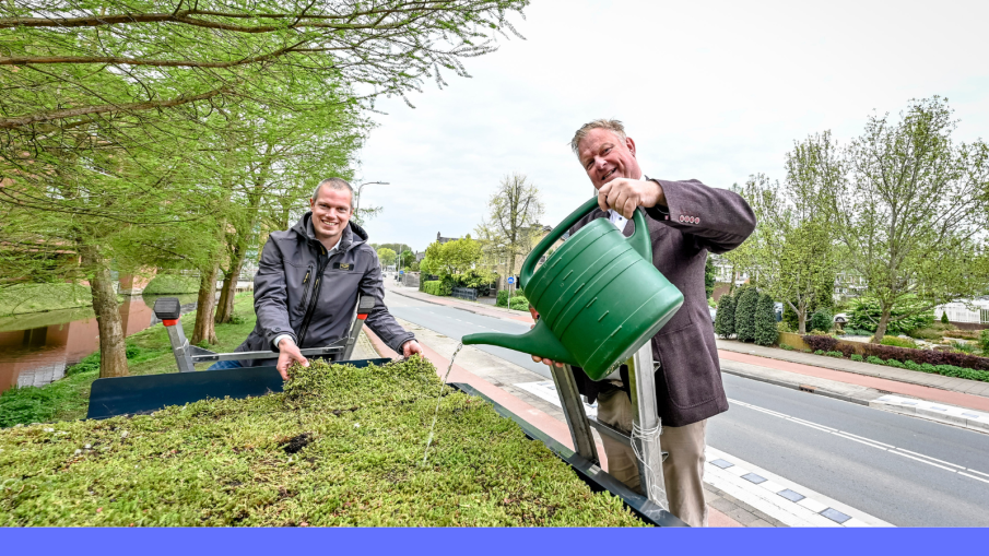 De wethouders Rik van Woudenberg (rechts) en Sjoerd Geissler verzorgen het groene dak van een bushokje