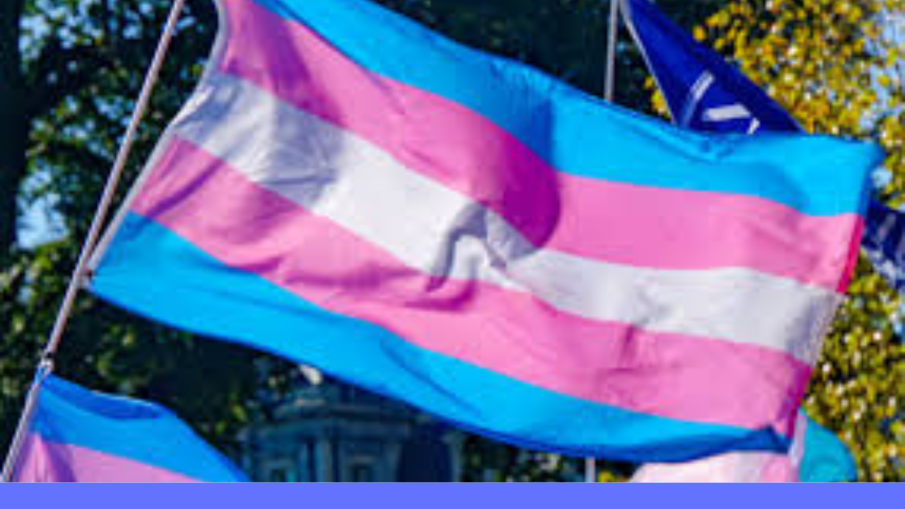 transvlag