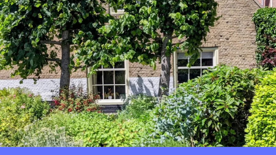 verborgen tuin