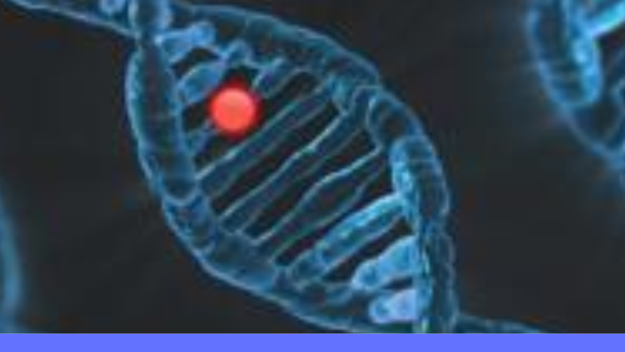 DNA