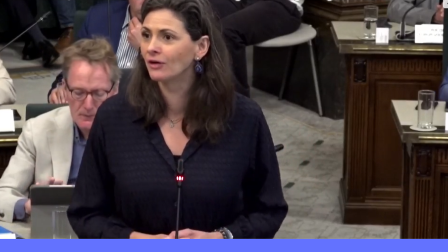Dieke van Groningen VVd