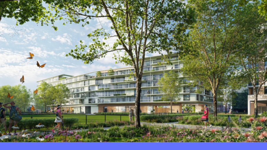 nieuwe schuttersveld