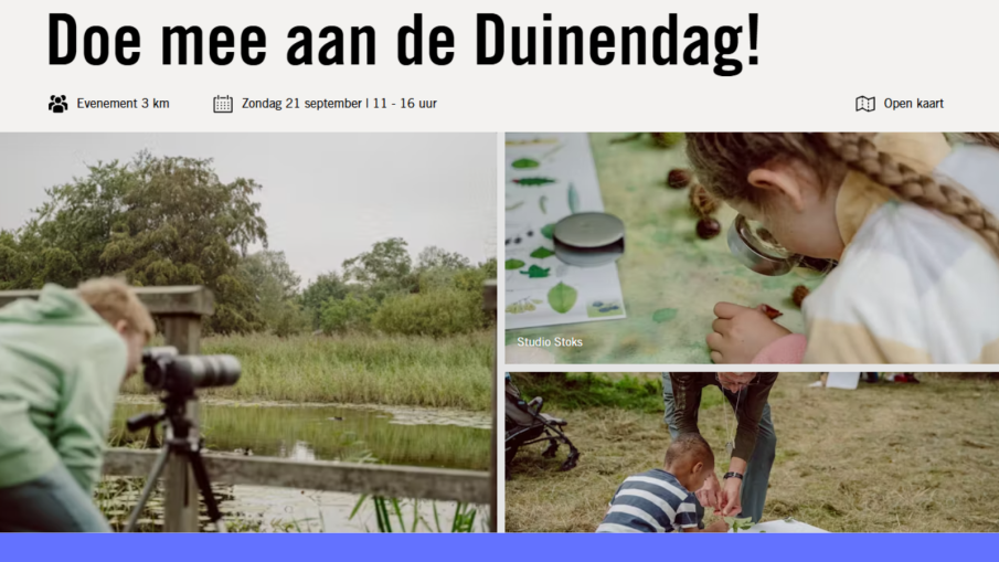 duinendag