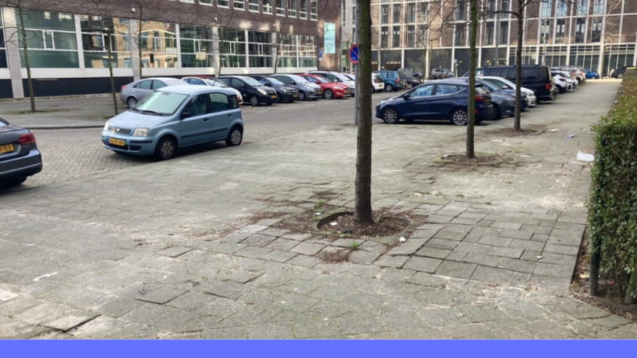 feijenoord 