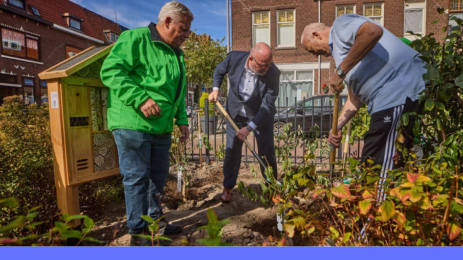 plantsoen blokweg